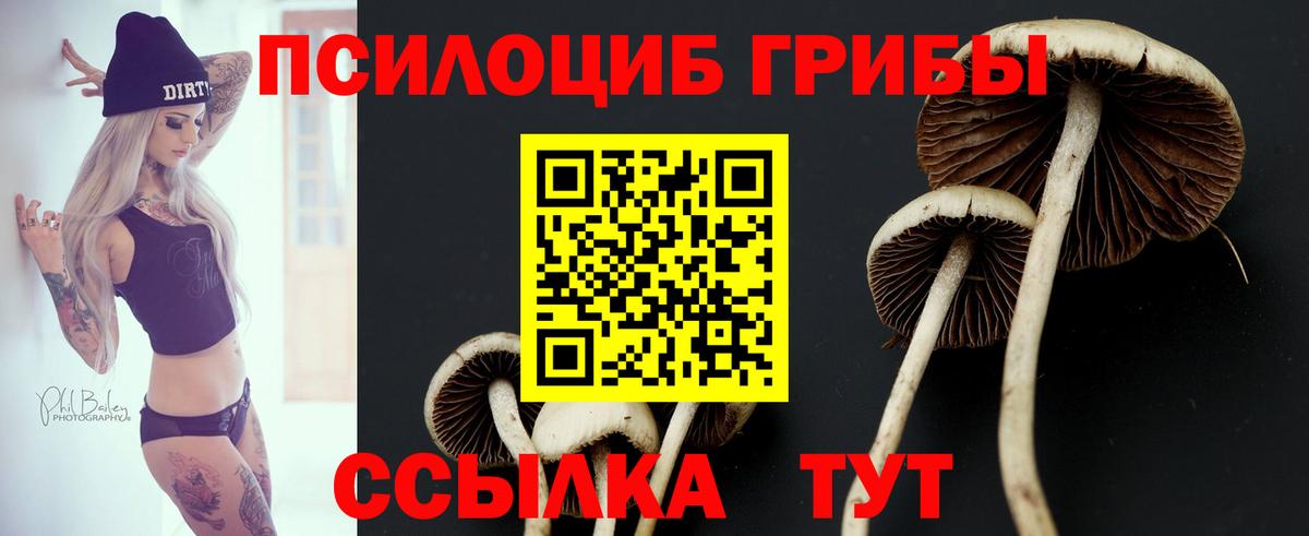 Галлюциногенные грибы прущие грибы  Псилоцибиновые грибы ЛСД  Чайковский  Вход с VPN 