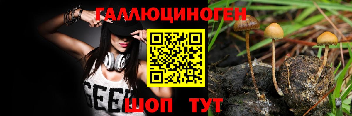 Галлюциногенные грибы GOLDEN TEACHER Чайковский
